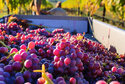 IMG_20260626_185925_276