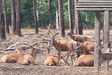 IMG_20260727_182216_436